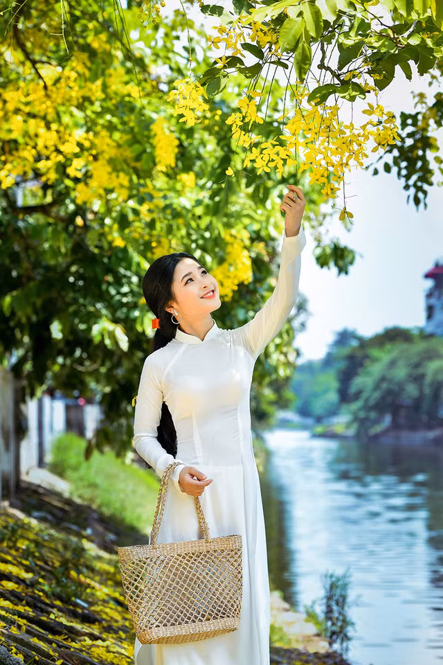 Vẻ đẹp của cô gái xứ Nghệ như tỏa sáng rực rỡ hơn dưới sắc vàng của hoa hoàng yến.