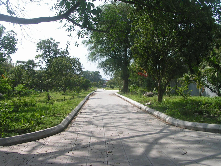 Lối vào chùa Bà Đanh vắng không bóng người.