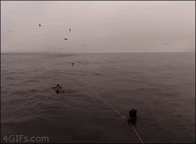 Những khoảnh khắc bạn phải “cảm tạ trời đất” vì may mắn đến khó tin ảnh 16