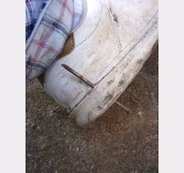 Những khoảnh khắc bạn phải “cảm tạ trời đất” vì may mắn đến khó tin ảnh 6