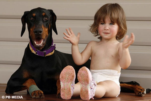 Dù giải thoát được Charlotte khỏi rắn độc nguy hiểm, nhưng chính Khan đã bị con rắn cắn trúng. (Ảnh Internet) Dù giải thoát được Charlotte khỏi rắn độc nguy hiểm, nhưng chính Khan đã bị con rắn cắn trúng. (Ảnh Internet)
