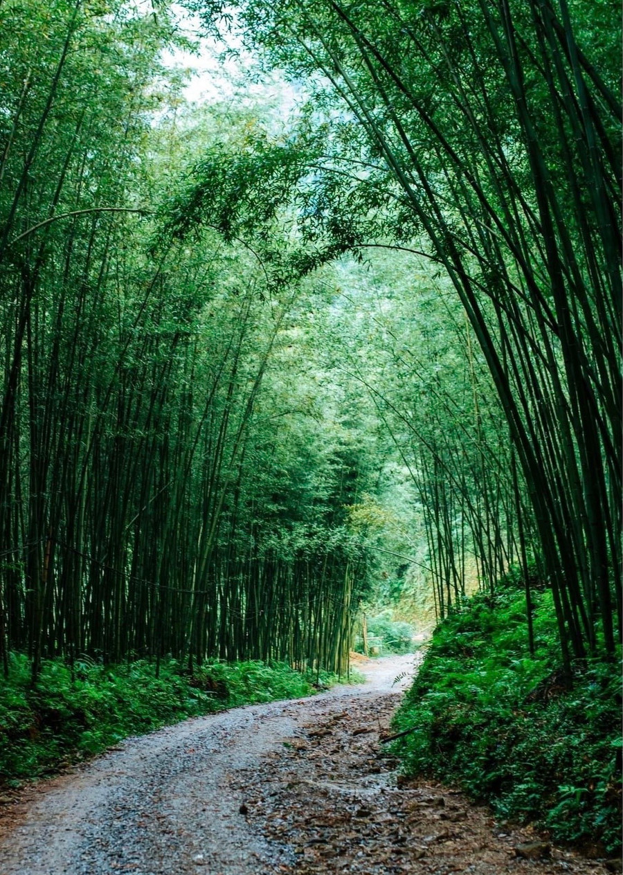 Con đường dẫn tới thôn Phiêng Phàng, xã Yến Dương, huyện Ba Bể, Bắc Kạn. Con đường dẫn tới thôn Phiêng Phàng, xã Yến Dương, huyện Ba Bể, Bắc Kạn.