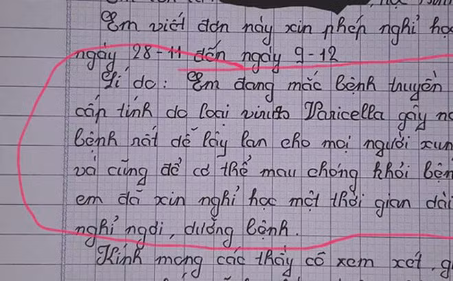 Đơn xin nghỉ học của học sinh.