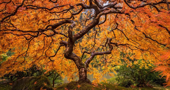 4 bức hình Việt Nam trong top ảnh toàn cảnh đẹp nhất