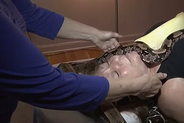Massage bằng rắn ở New York, Mỹ