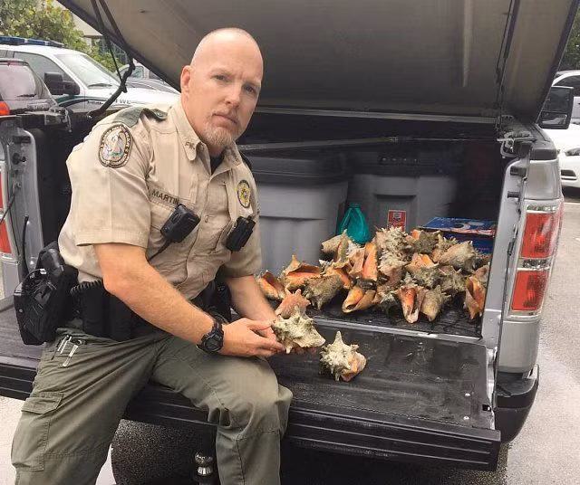 Đi biển bắt ốc về làm quà, người phụ nữ ngơ ngác khi bị cảnh sát phạt tiền rồi tống giam nửa tháng - Hình 3