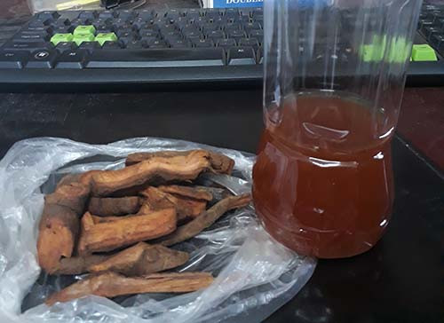 Chai rượu và số rễ cây gây ngộ độc mà cơ quan chức năng thu giữ. Chai rượu và số rễ cây mà cơ quan chức năng thu giữ. Ảnh: Nguyễn Hải.