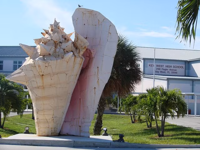 Đi biển bắt ốc về làm quà, người phụ nữ ngơ ngác khi bị cảnh sát phạt tiền rồi tống giam nửa tháng