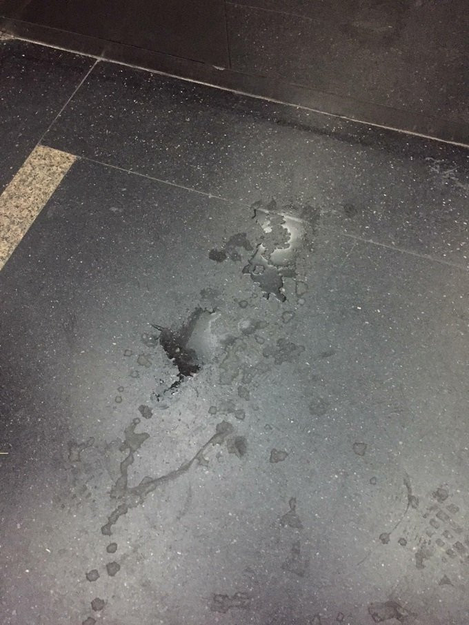 {title} Gặp chó trong thang máy, cháu bé 2 tuổi khóc thét