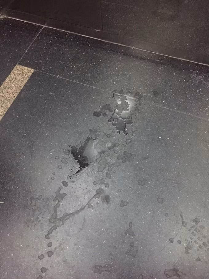 Gặp chó trong thang máy, cháu bé 2 tuổi khóc thét