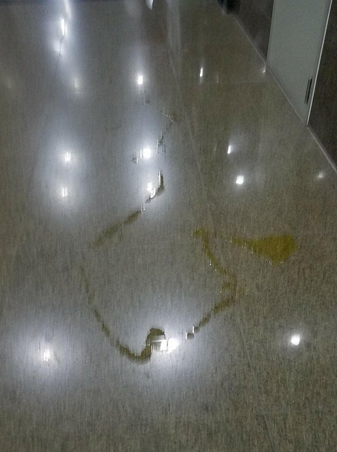 {title} Gặp chó trong thang máy, cháu bé 2 tuổi khóc thét