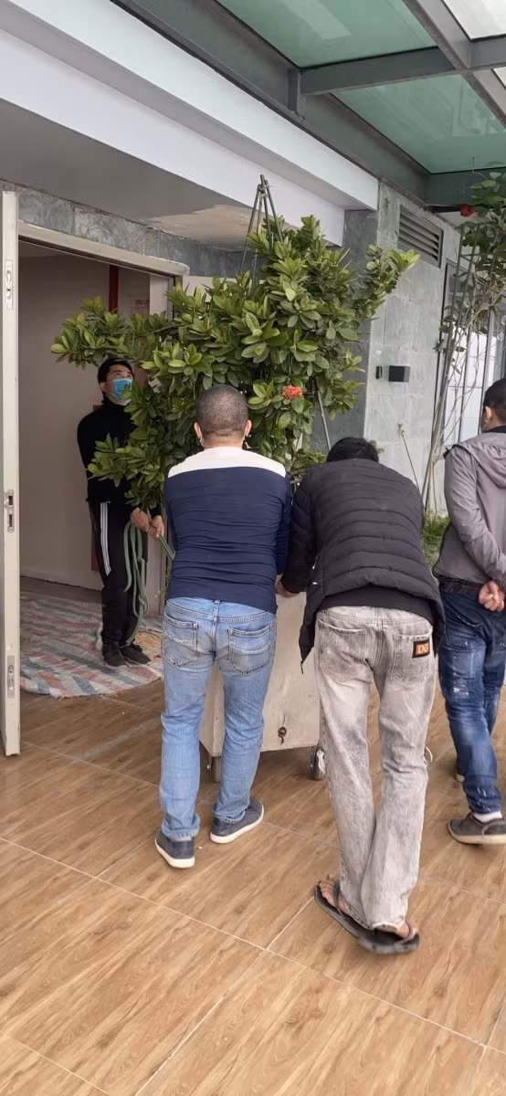 Các đối tượng lạ mặt ngang nhiên di chuyển cây cảnh có giá trị của chủ sở hữu căn hộ Top 19B