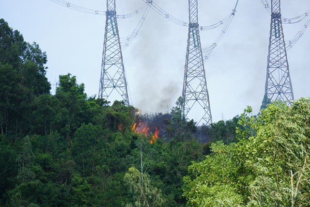 Đám cháy được phát hiện vào khoảng 9h30 ngày 28/6 thuộc khu vực rừng tràm, bạc hà ở thôn Đại La, xã Hòa Sơn, huyện Hòa Vang, TP. Đà Nẵng.