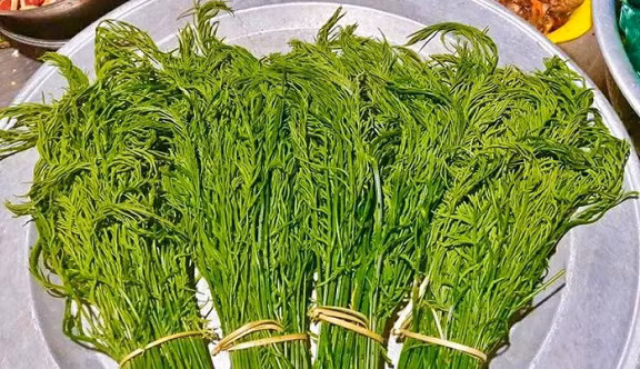 ky la, loai rau dai hoi xi o tuyen quang an 1 lan thay so, an lan 2 dam nghien hinh anh 1