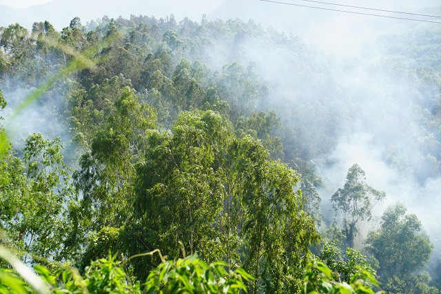 Đám cháy có chiều hướng lan rộng về phía trụ đường dây điện cao thế, các phương án dập lửa, khống chế đám cháy nhanh chóng được triển khai.