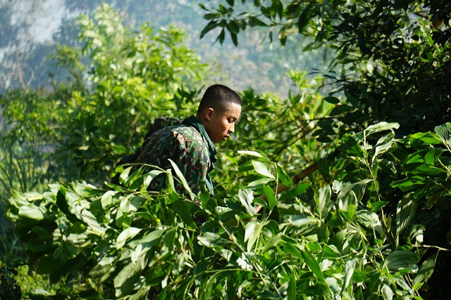 Giữa trưa nắng gắt, các chiến sĩ vẫn trầm mình trong cây bụi, tổ chức phát quang không để đám cháy lan rộng.