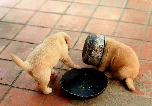 10-anh-hai-hot-nhat-facebook-trong-ngay-6