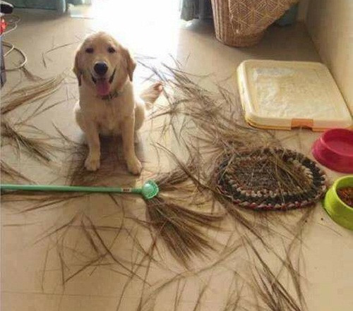 10-anh-hai-hot-nhat-facebook-trong-ngay-7