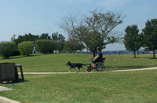 Cưỡi ngựa xem hoa giờ là xưa rồi.