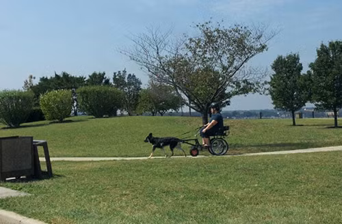 Cưỡi ngựa xem hoa giờ là xưa rồi. Cưỡi ngựa xem hoa giờ là xưa rồi.