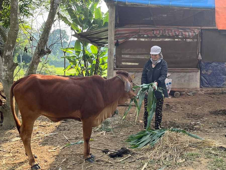 Trao 'cần câu' sinh kế giúp đồng bào huyện Định Hoá thoát nghèo.