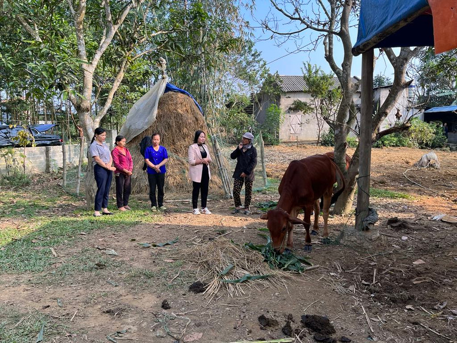 Cán bộ xã Tân Dương đến thăm hỏi, kiểm tra các hộ dân nuôi bò trên địa bàn.