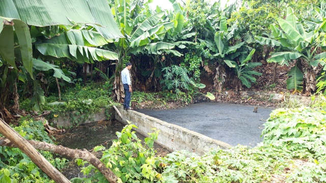 Hồ chứa nước thải bên cạnh đường đi gây ô nhiễm nghiêm trọng. Ảnh: Trúc Hân