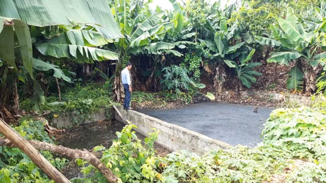 Hồ chứa nước thải bên cạnh đường đi gây ô nhiễm nghiêm trọng. Ảnh: Trúc Hân