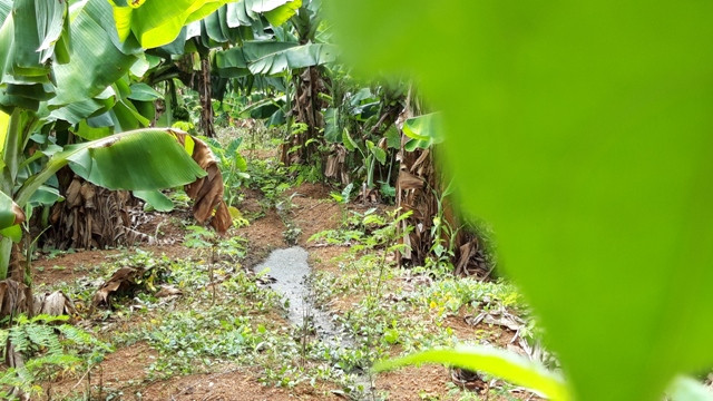 Nước thải đổ trực tiếp ra ngoài môi trường. Ảnh: Trúc Hân