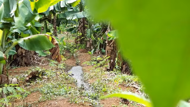 Nước thải đổ trực tiếp ra ngoài môi trường. Ảnh: Trúc Hân