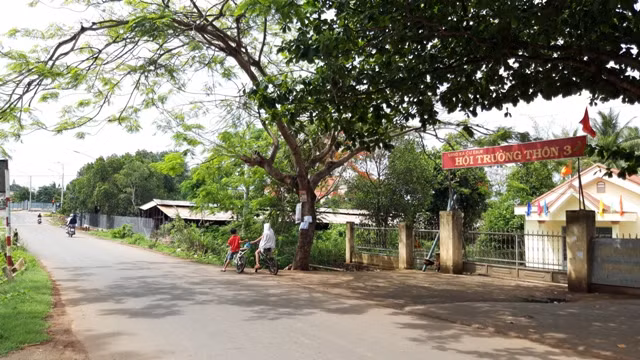 Trang trại chăn nuôi nằm bên cạnh trường học. Ảnh: Trúc Hân