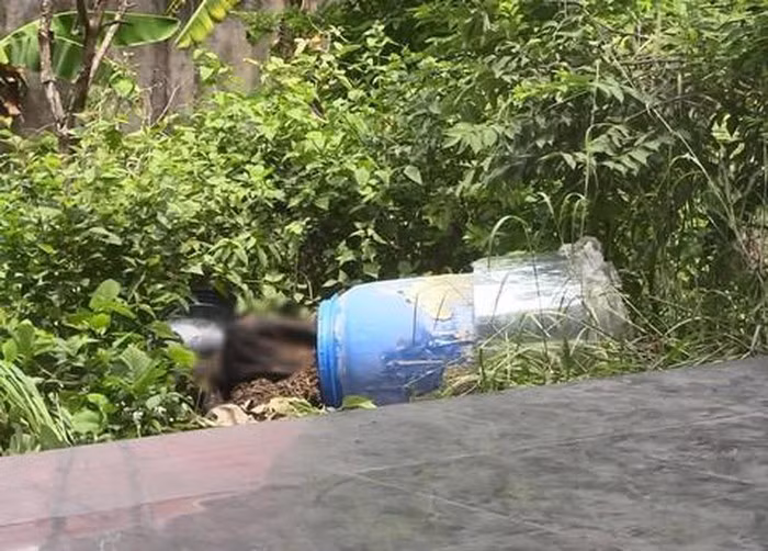 chu-can-nha-noi-phat-hien-2-khoi-be-tong-chua-thi-the-len-tieng-gio-co-cho-cung-khong-ai-dam-o-03