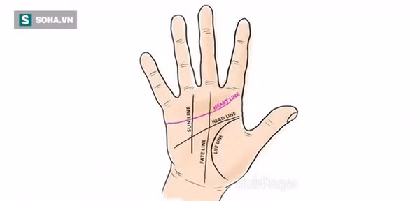 5 đường chỉ tay quan trọng đối với cuộc đời mỗi người-1