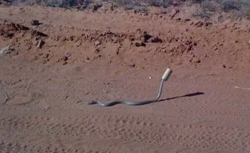 Những tình huống dở khóc dở cười trong cuộc sống ảnh 2 Những tình huống dở khóc dở cười trong cuộc sống ảnh 2