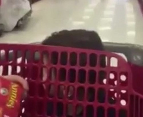 Con trai Gina khóc thét khi nghe thấy âm thanh khiêu dâm trên loa.