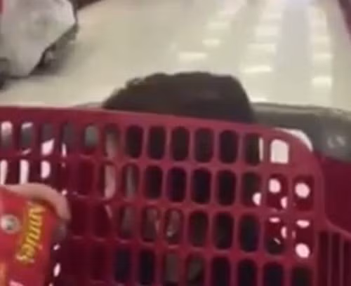 Con trai Gina khóc thét khi nghe thấy âm thanh khiêu dâm trên loa.