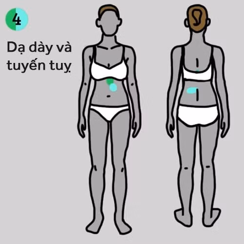 vị trí đau trên cơ thể, dấu hiệu mắc bệnh nguy hiểm, Bệnh thận