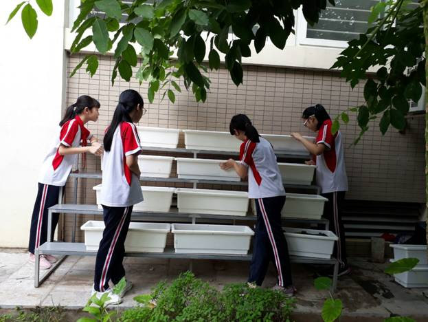 Nhóm sản xuất đang kiểm tra sự phát triển của giá đỗ Nhóm sản xuất đang kiểm tra sự phát triển của giá đỗ