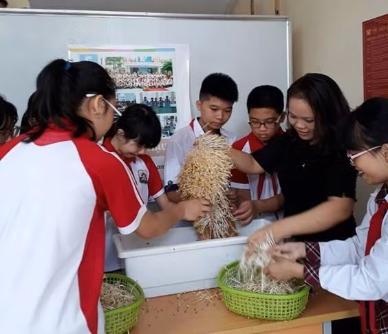 Cô Hoa Vân cùng các học sinh đang tiến hành thu hoạch Giá đỗ