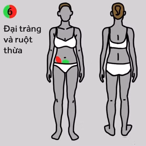 vị trí đau trên cơ thể, dấu hiệu mắc bệnh nguy hiểm, Bệnh thận