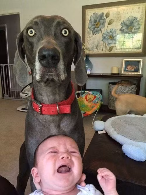 Không phải lỗi của em.