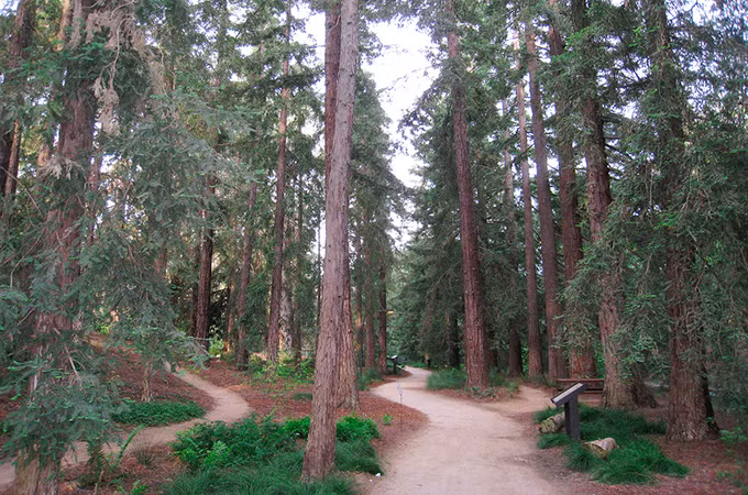 10 đại học xanh nhất nước Mỹ