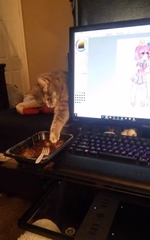 Đạo tặc trong nhà.