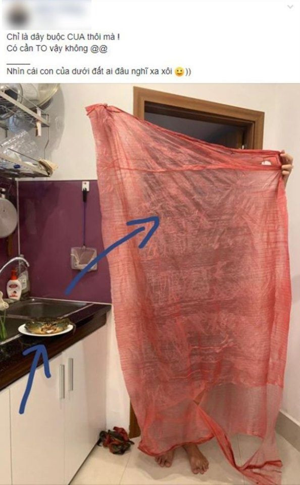 Chỉ là dây buộc cua thôi mà Chỉ là dây buộc cua thôi mà