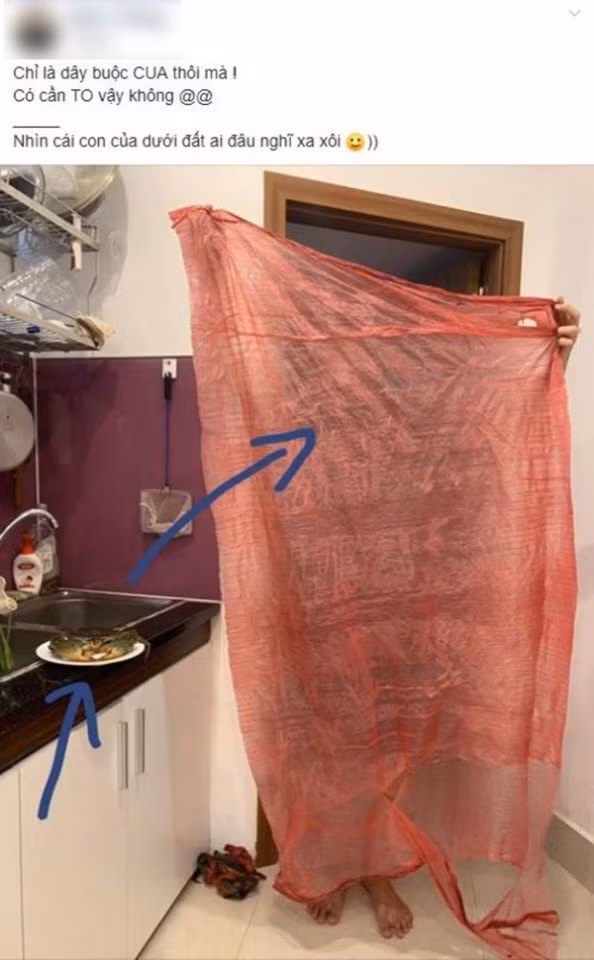 Chỉ là dây buộc cua thôi mà Chỉ là dây buộc cua thôi mà