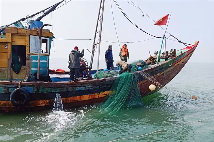 Tàu cá đánh bắt hải sản trái phép tại vùng biển Hà Tĩnh.