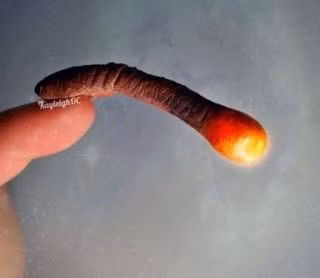 mongtaykiquai.Blogtamsu(10)