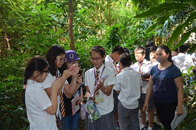 Tìm hiểu về các ngành học liên quan đến tài nguyên rừng