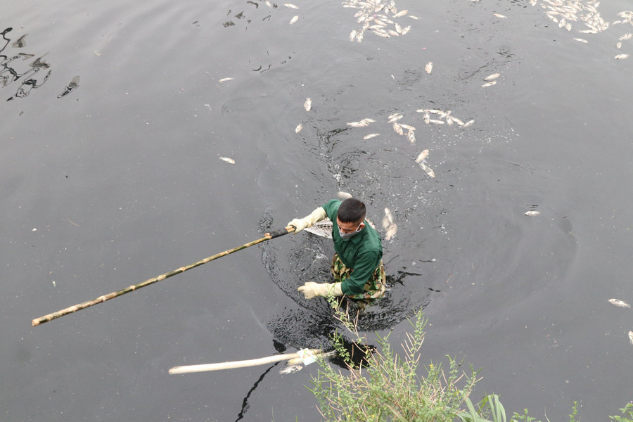 Hào thành cổ chứa nước thải sinh hoạt chưa qua xử lý, tù đọng nên đen ngòm. (Ảnh: Phạm Tâm)