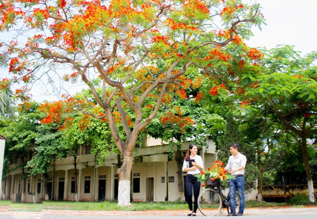 Kỷ niệm trường xưa